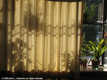 curtainshadow3628.jpg