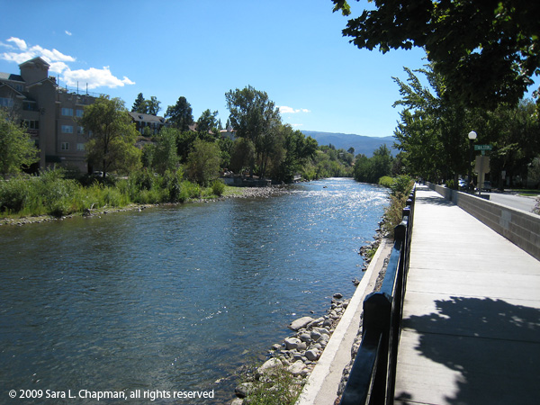 truckeervrreno5110 truckeervrreno5110