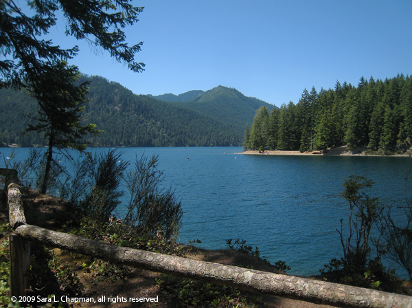 lakecushman3271