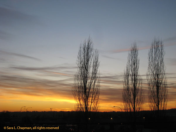 sunset8100 sunset8100