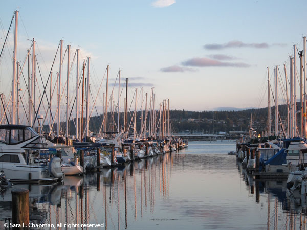 Marina-pink-masts-1015 boats, marina, sunset, dusk, water, masts, dawn, Cap Sante marina, Anacortes