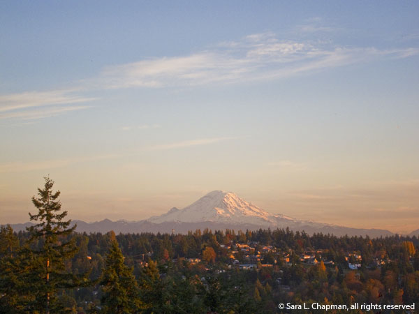 Mt. Rainier, Mt. Ranier, sunset, autumn, fall, scenic, tree, vista, Washington, view, mountain, dusk