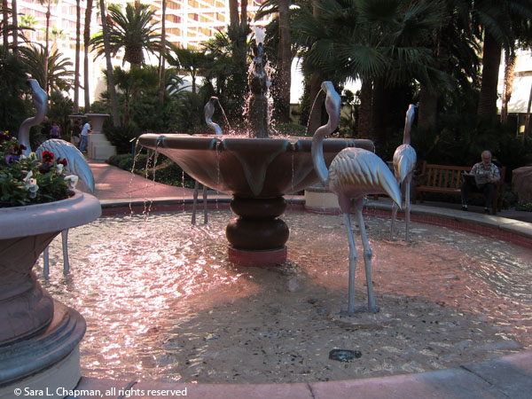 flamingo statues, flamingo hotel, pink, flamingo sculptures, water, morning, Las Vegas