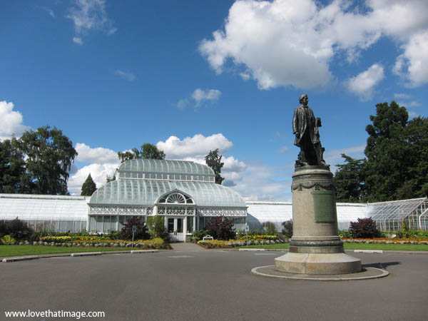 volunteer-park-conservatory-4432 seattle, victorian glass conservatory, seward statue, sunshine