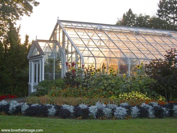 conservatory-dusk-5684 late afternoon light, bromeliad house, volunteer park conservatory