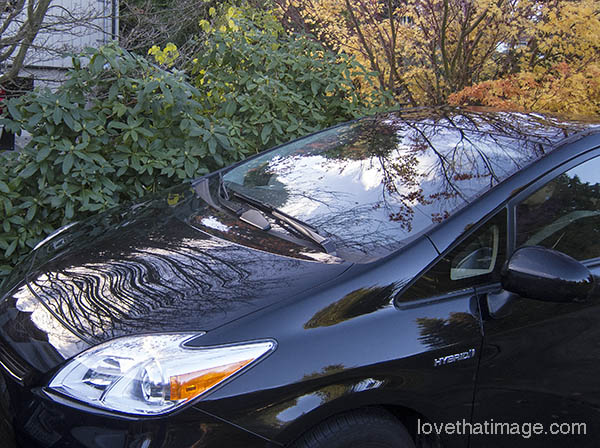 Trees and sky reflected on black car in fall scene