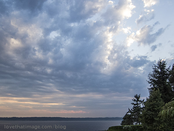 Evergreen trees look out over sky and water in the Pacific Northwest