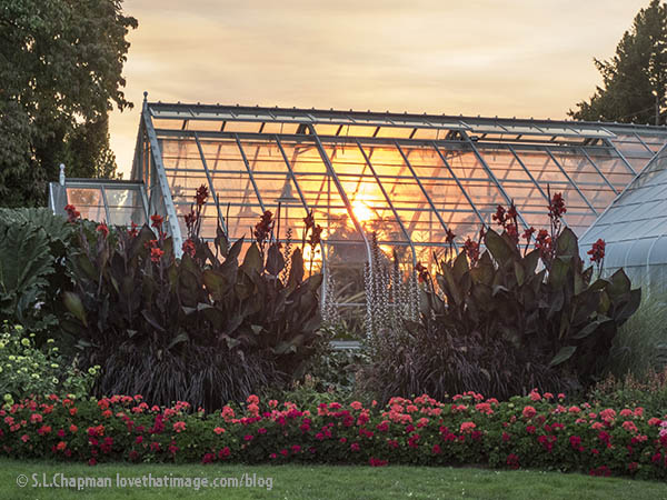 The Bromeliad House (west wing) of Seattle's Volunteer Park Conservatory on a fine August evening